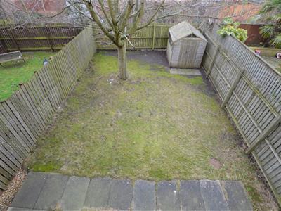 Picture 12